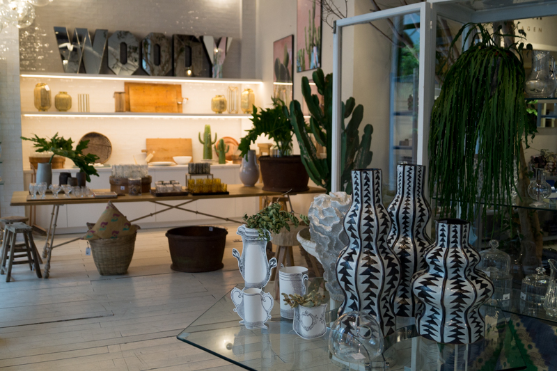 Mestizo contemporary Store Madri