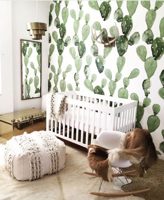 Cactus wallpaper in a nursery