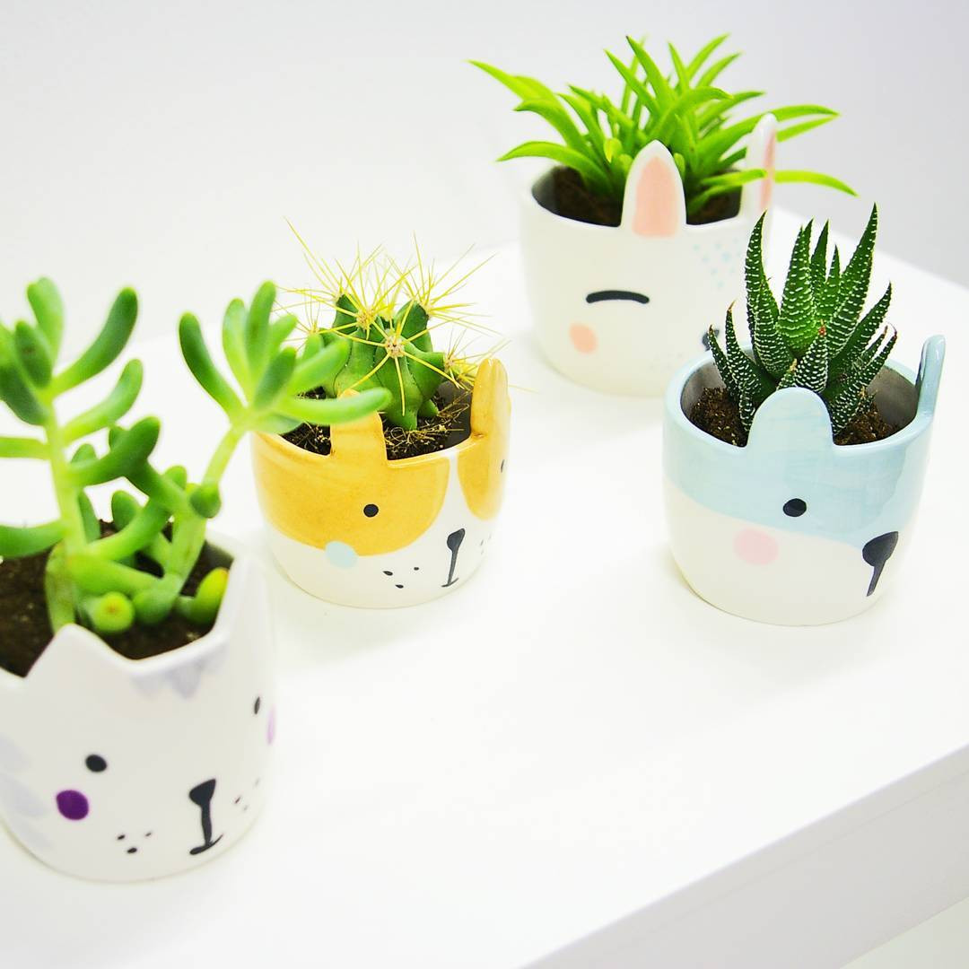 Naume Studio cat inspired houseplant pottery