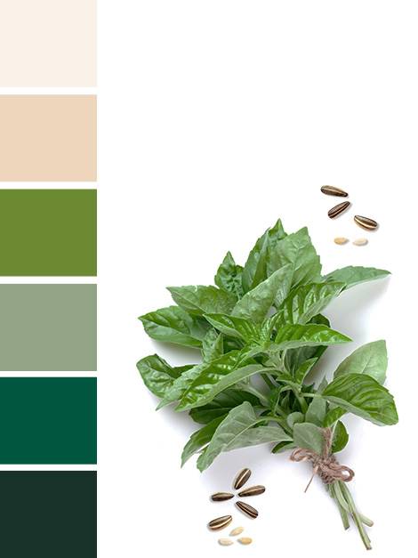 Maisons du Monde Spring-Summer 2018 Green Market color palette