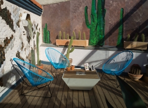 Cactus garden on the rooftop of Casa Decor 2018