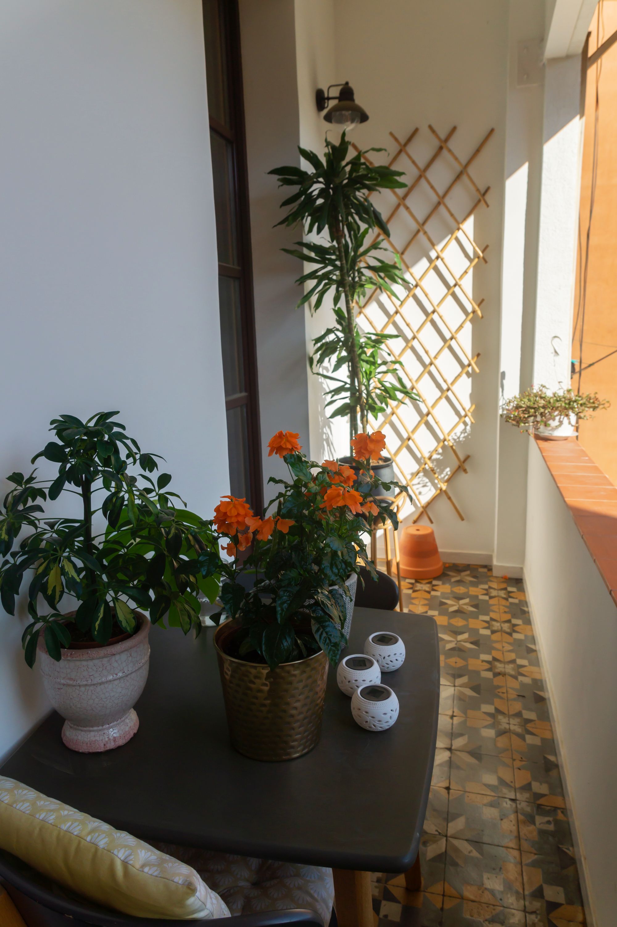 Gemma home tour Barcelona balcony with plants and tile floor