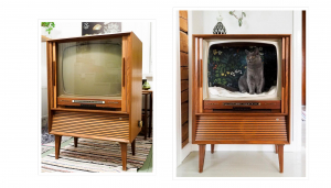 Old Philips TV cabinet repurposed into cat house
